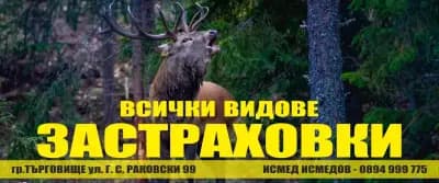 Застраховки - Всички видове застраховки