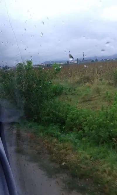 Автоцентър Пелшини