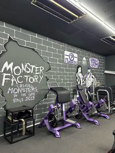 Фитнес Jungle Gym