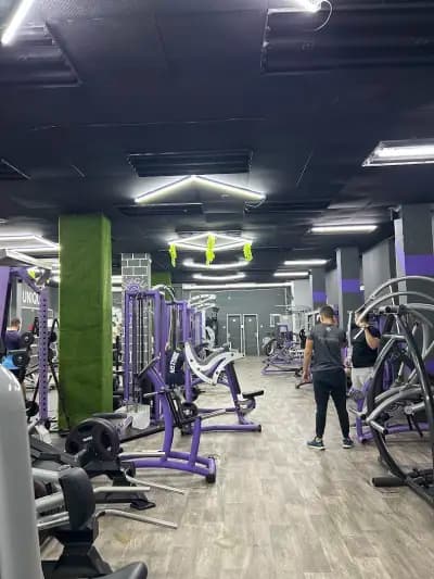 Фитнес Jungle Gym