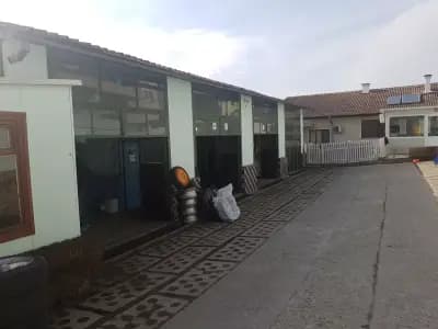 Балинов