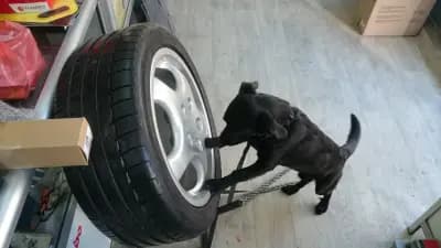 Castrol Service МПИ - Ауто