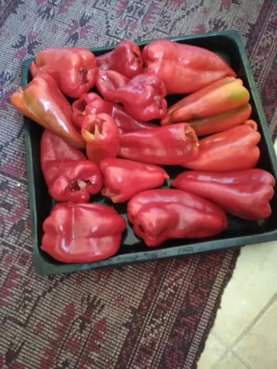 Селски Магазин