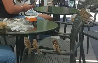 Green Deli Cafe