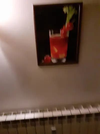 РОСИЦА ДРАЙЧЕВА