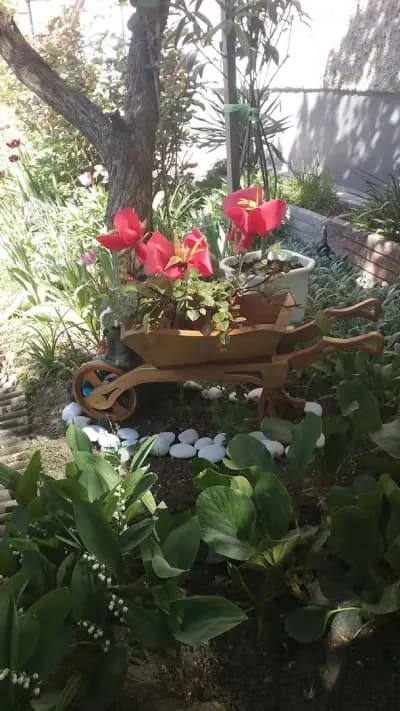 Кафе Марго