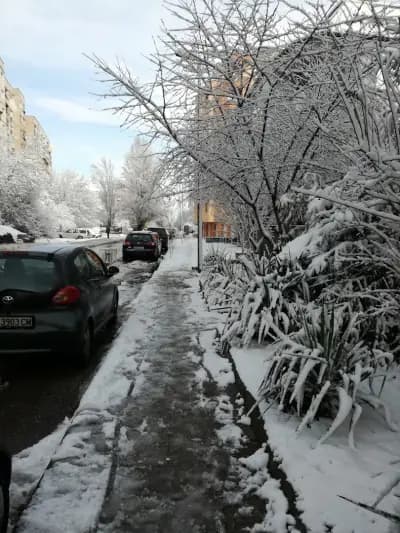 Кафе-Сладкарница "ПРИНЦЕСА"