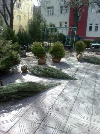 Манов 2007 ЕООД