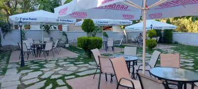 Cafe & Bar Migo