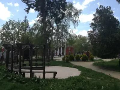 Лилавото