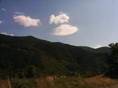 Кафене „Фемили“
