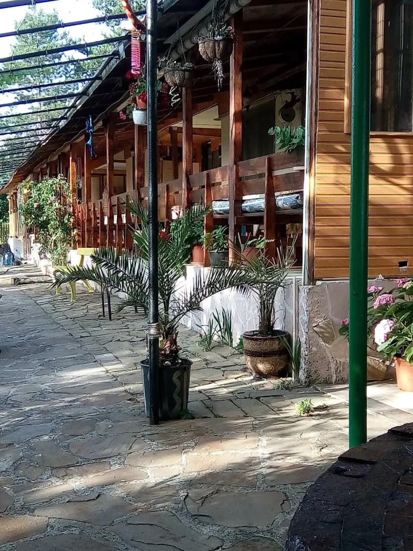 Вила „Акула“, Парк Росенец