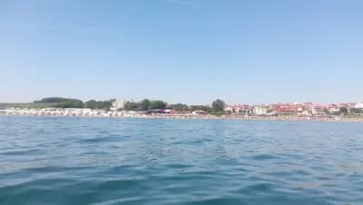 Стаи За Гости Боги