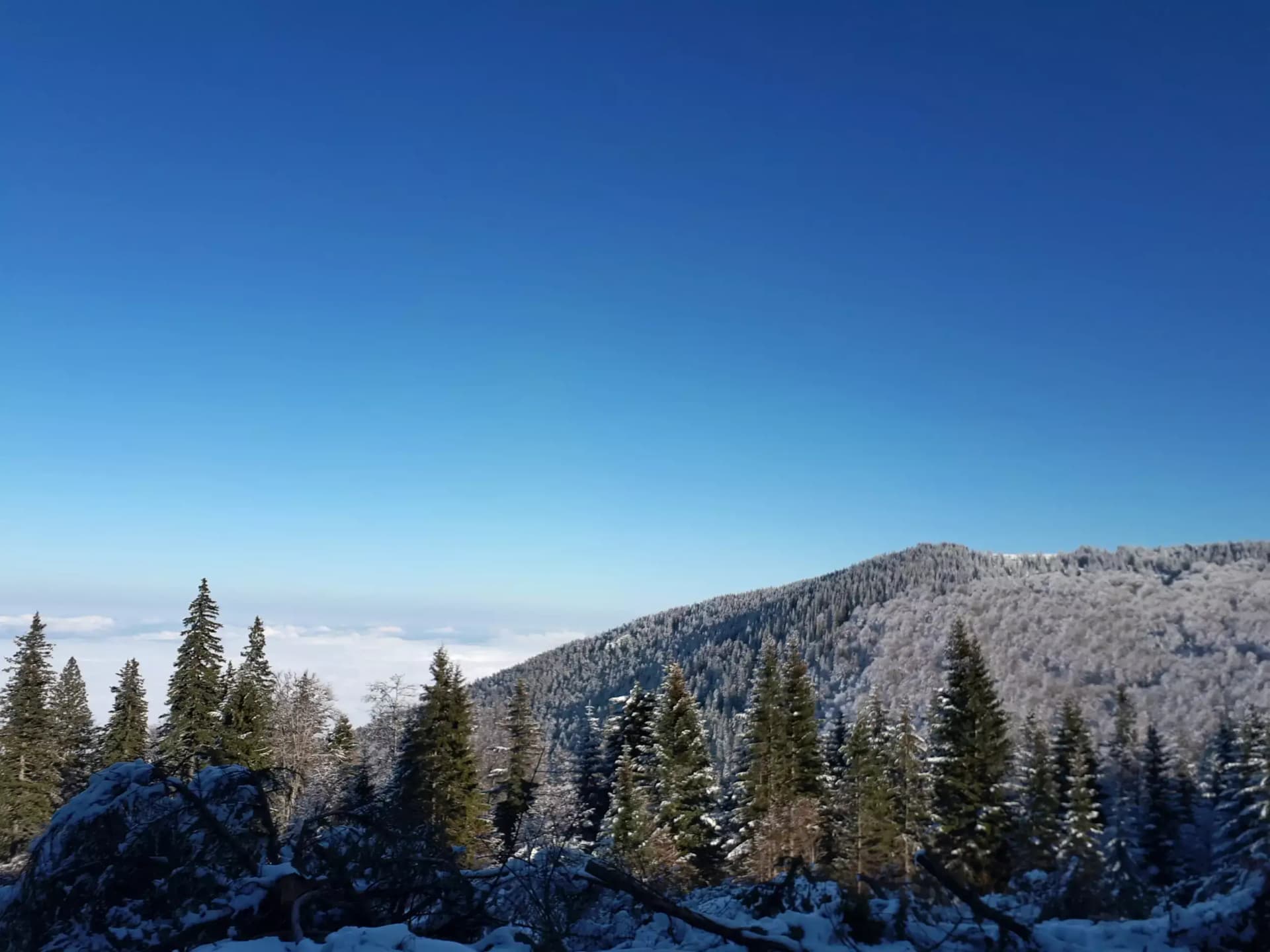 Хижа Ком стара