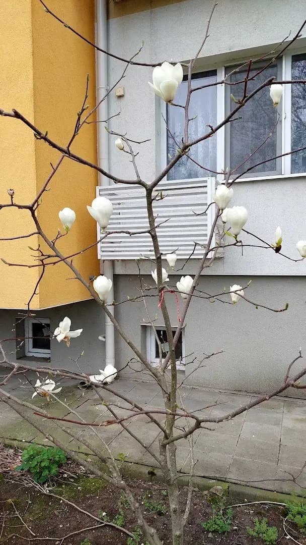 Бизнес парк Стара Загора ООД