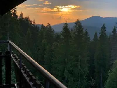 Apartment to let - "Panorama" Pamporovo/Апартамент Панорама