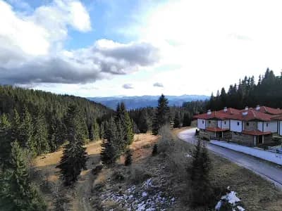 Apartament Viki Pamporovo