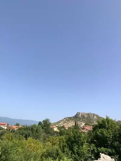 Мюлер