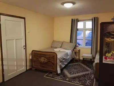 BeeFree Aleksander Manchev