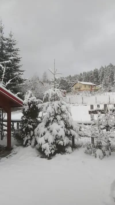 Къщи Тара