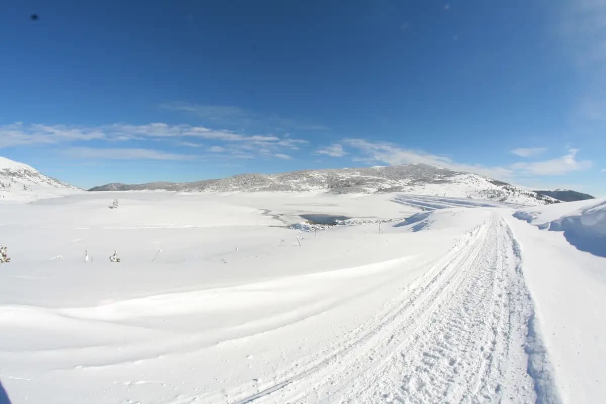 Къщи Тара