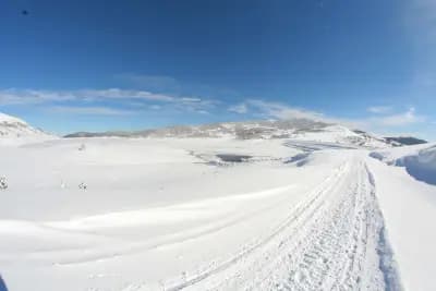 Къщи Тара