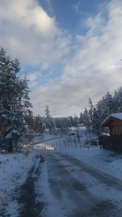 Къщи Тара