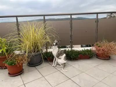 The View Veliko Tarnovo