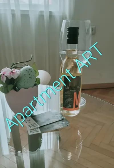 Apartment ART