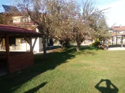 Вилен Комплес Петя