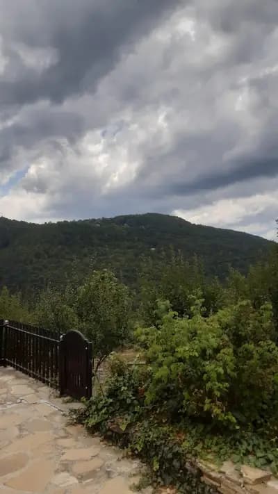 Вила Цачеви