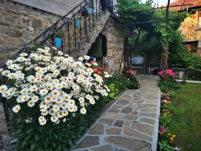Къща за гости "Виктория" / Guest House "Victoria"