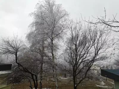 Еко къщички "Панорама"