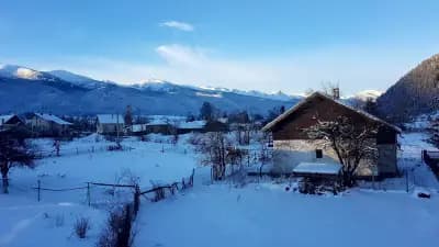 Лакатица