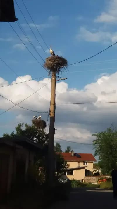 Kъща на Петте Кьошета