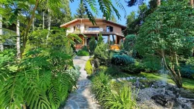 Luxury Villa Borina