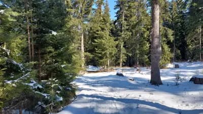 BUNGALOWS SKI PISTA Govedarci
