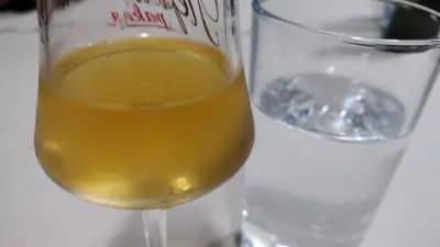 Семеен хотел Братила