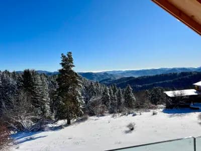 ECO HOUSES ART OF LIVING - Еко къщи изкуството да живееш