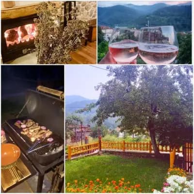 Ваньовата къща