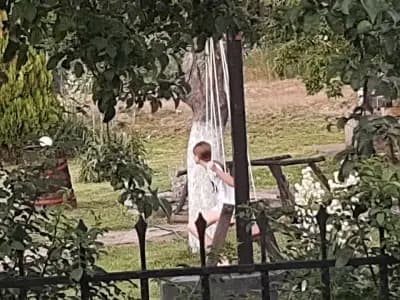 Ивовата къща