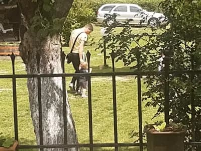Ивовата къща