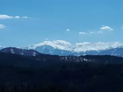 Бяла спретната къщурка