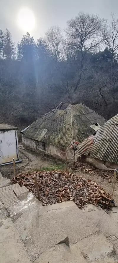 Градешки минерални бани
