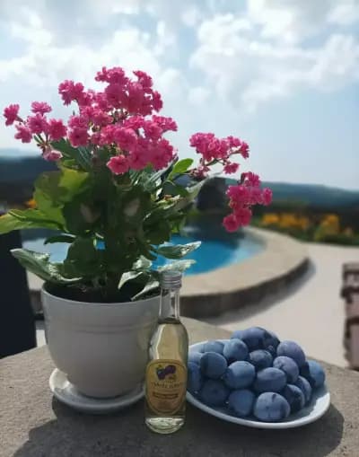 Бялата къща, Мийковци