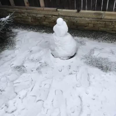 Къща Кенара