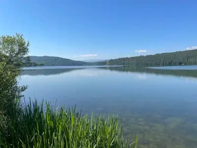Вила Елена, яз. Лобош