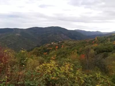 Къща за Гости "При Митака" І Механа І Качествено месо І Органични зеленчуци І Студена бира