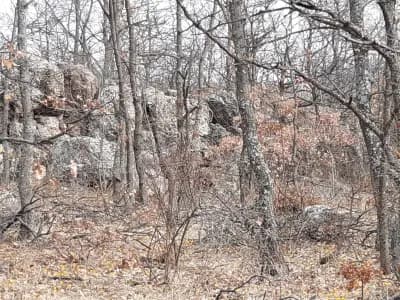 Къща за гости с. Раклица