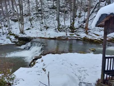 Къща за гости "Горски Водопади"